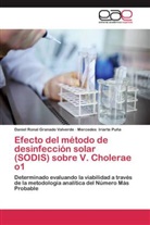 Daniel Rona Granado Valverde, Daniel Ronal Granado Valverde, Merce Iriarte Puña, Mercedes Iriarte Puña - Efecto del método de desinfección solar (SODIS) sobre V. Cholerae o1