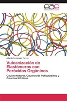 Alberto Fernández Torres - Vulcanización de Elastómeros con Peróxidos Orgánicos