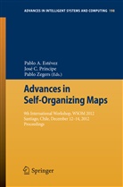 Pablo A. Estévez, José C. Príncipe, Pablo Zegers, Jos C Príncipe, José C Príncipe, Pablo A. Estevez... - Advances in Self-Organizing Maps