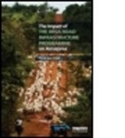 Pitou Van Dijck, DIJCK PITOU VAN, Pitou van Dijck, Pitou (EDT) Van Dijck - Impact of the Iirsa Road Infrastructure Programme on Amazonia