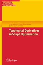 Antonio Andr Novotny, Antonio André Novotny, Jan Soko owski, Jan Soko¿owski, Jan Sokolowski, Jan Sokołowski - Topological Derivatives in Shape Optimization