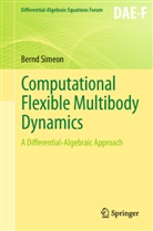 Bernd Simeon - Computational Flexible Multibody Dynamics