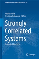 Adolf Avella, Adolfo Avella, Mancini, Mancini, Ferdinando Mancini - Strongly Correlated Systems