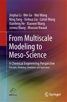 We Ge, Wei Ge, Xianfeng He, Mooson Kwauk, Jingha Li, Jinghai Li... - From Multiscale Modeling to Meso-Science