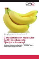 Salvado Guzmán G, Salvador Guzmán G, Salvador Guzmán G., Gilbert Manzo-Sánchez, Gilberto Manzo-Sánchez, Orozco... - Caracterización molecular de Mycosphaerella fijiensis a benomyl