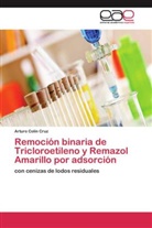 Arturo Colín Cruz - Remoción binaria de Tricloroetileno y Remazol Amarillo por adsorción