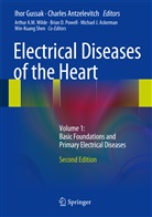 Arthur A M Wilde et al, Charle Antzelevitch, Charles Antzelevitch, Ihor Gussak - Electrical Diseases of the Heart. Vol.1