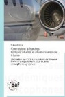 Romain Gateau, Gateau-r - Corrosion a hautes temperatures d