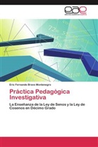 Eric Fernando Bravo Montenegro - Práctica Pedagógica Investigativa