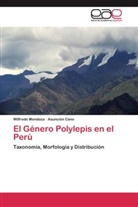 Asunción Cano, Wilfred Mendoza, Wilfredo Mendoza - El Género Polylepis en el Perú