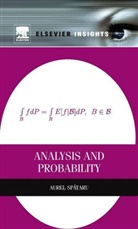 Aurel Spataru, Aurel (Institute of Mathematical Statistics and Applied Mathematics Spataru, Spataru Aurel - Analysis and Probability