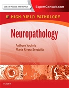 Marie Rivera-Zengotita, Marie L Rivera-Zengotita, Marie L. Rivera-Zengotita, Anthony Yachnis, Anthony T Yachnis, Anthony T. Yachnis - Neuropathology