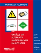 Christof Linde - Unfälle mit alternativ angetriebenen Fahrzeugen