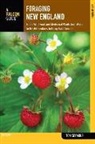 Tom Seymour - Foraging New England