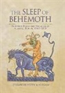 Jehangir Malegam, Jehangir Yezdi Malegam - Sleep of Behemoth