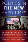 Miles Lake Kahler, Miles Kahler, David A. Lake - Politics in the New Hard Times