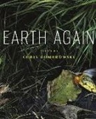 I. Chris Dombrowsk, Chris Dombrowski - Earth Again