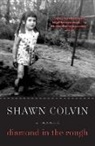 Shawn Colvin - Diamond in the Rough