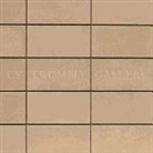 Nicola (EDT)/ Sylvester Del Roscio, DEL ROSCIO NICOLA EDT SYLVESTE, Cy Twombly, Nicola del Roscio, Julie Sylvester - The Cy Twombly Gallery