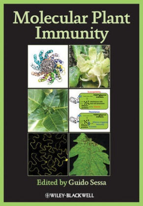 G Sessa, Guido Sessa, Guido (EDT) Sessa,  Sessa Guido, Guid Sessa, Guido Sessa... - Molecular Plant Immunity