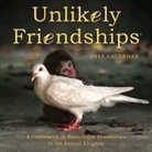 Jennifer Holland - Unlikely Friendships 2014