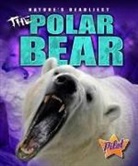 Lisa Owings - The Polar Bear
