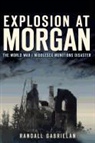 Randall Gabrielan - Explosion at Morgan