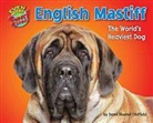 Dawn Bluemel Oldfield, Dawn Bluemel Oldfield - English Mastiff