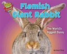 Leon Gray - Flemish Giant Rabbit