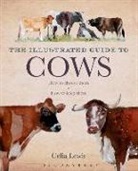 Celia Lewis, Lewis Celia - The Illustrated Guide to Cows
