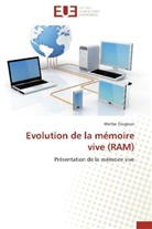 Martial Zougouri, Zougouri-m - Evolution de la memoire vive ram