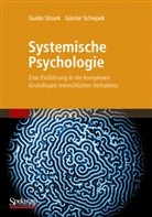 Schiepek, Günter Schiepek, Strun, Guid Strunk, Guido Strunk - Systemische Psychologie