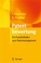 Ensthale, Jürge Ensthaler, Jürgen Ensthaler, Strübbe, Kai Strübbe - Patentbewertung