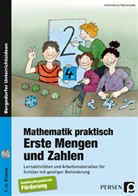 Arbeitskreis Mathematik, Arbeitskreis Mathematik - Mathematik praktisch: Erste Mengen und Zahlen, m. 1 CD-ROM