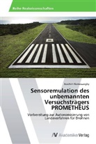 Joachim Nemesszeghy - Sensoremulation des unbemannten Versuchsträgers PROMETHEUS