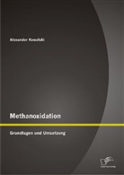 Alexander Kowalski - Methanoxidation: Grundlagen und Umsetzung