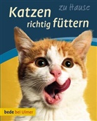 Anna Laukner - Katzen richtig füttern