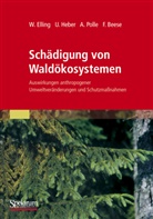 Friedrich Beese, Wolfra Elling, Wolfram Elling, Ulric Heber, Ulrich Heber, Andrea Polle... - Schädigung von Waldökosystemen