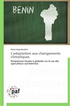 Marie-Ange Baudoin, Baudoin-m - L adaptation aux changements