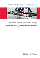 Martin Elbe, Christian Werner - Handbuch Organisationsdiagnose