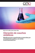 María de las Mercedes Pastor Blas - Cloración de cauchos sintéticos