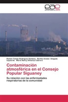 María Nancy Almanza Cabrera, Delgado Izquierdo, Bertha Anolan Delgado Izquierdo, Ramón Tomá Rodríguez Santana, Ramón Tomás Rodríguez Santana - Contaminación atmosférica en el Consejo Popular Siguaney