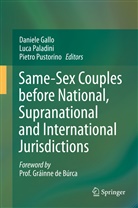 Daniele Gallo, Luc Paladini, Luca Paladini, Pietro Pustorino - Same-Sex Couples before National, Supranational and International Jurisdictions