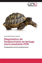 Fernando Escribano Cánovas - Diagnóstico de herpesvirosis en tortuga mora mediante PCR