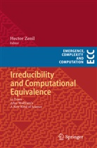 Hecto Zenil, Hector Zenil - Irreducibility and Computational Equivalence