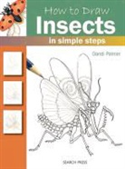 Dandi Palmer - How to Draw: Insects