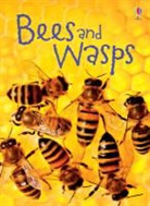 James Maclaine, John Francis, Kimberley Scott - Bees & Wasps