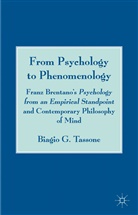 B Tassone, B. Tassone, Biagio G. Tassone, TASSONE BIAGIO G - From Psychology to Phenomenology