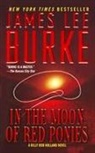 James Lee Burke - In the Moon of Red Ponies