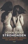 John Gray - Strohonden